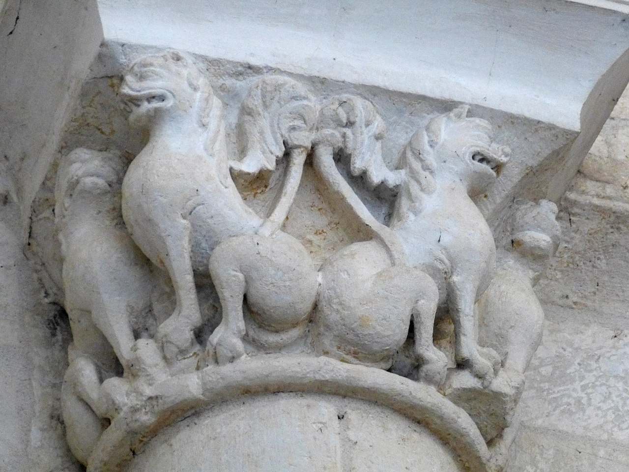 Chapiteau roman sculpté de l'église Saint-Pallais de Saintes représentant deux griffons affrontés, bestiaire fantastique de la Saintonge romane